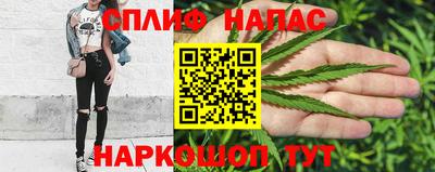 a pvp Кингисепп