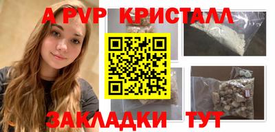 a pvp Кингисепп