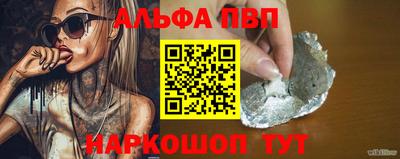 a pvp Кингисепп