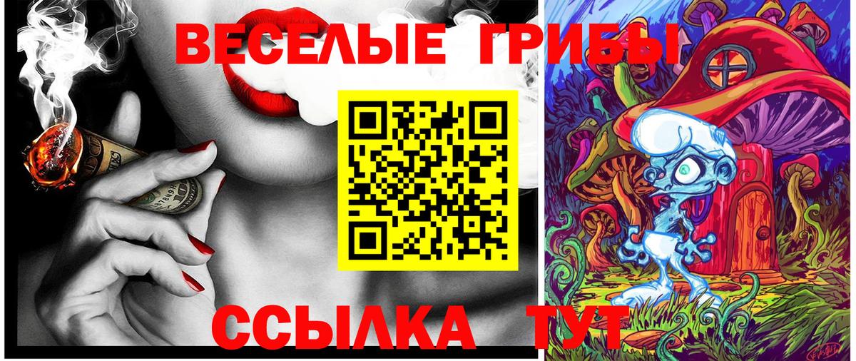 Псилоцибиновые грибы GOLDEN TEACHER Биробиджан