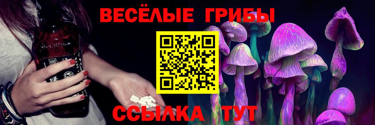 даркнет сайт  Псилоцибиновые грибы прущие грибы  Вход с VPN  Биробиджан  Псилоцибиновые грибы ЛСД 